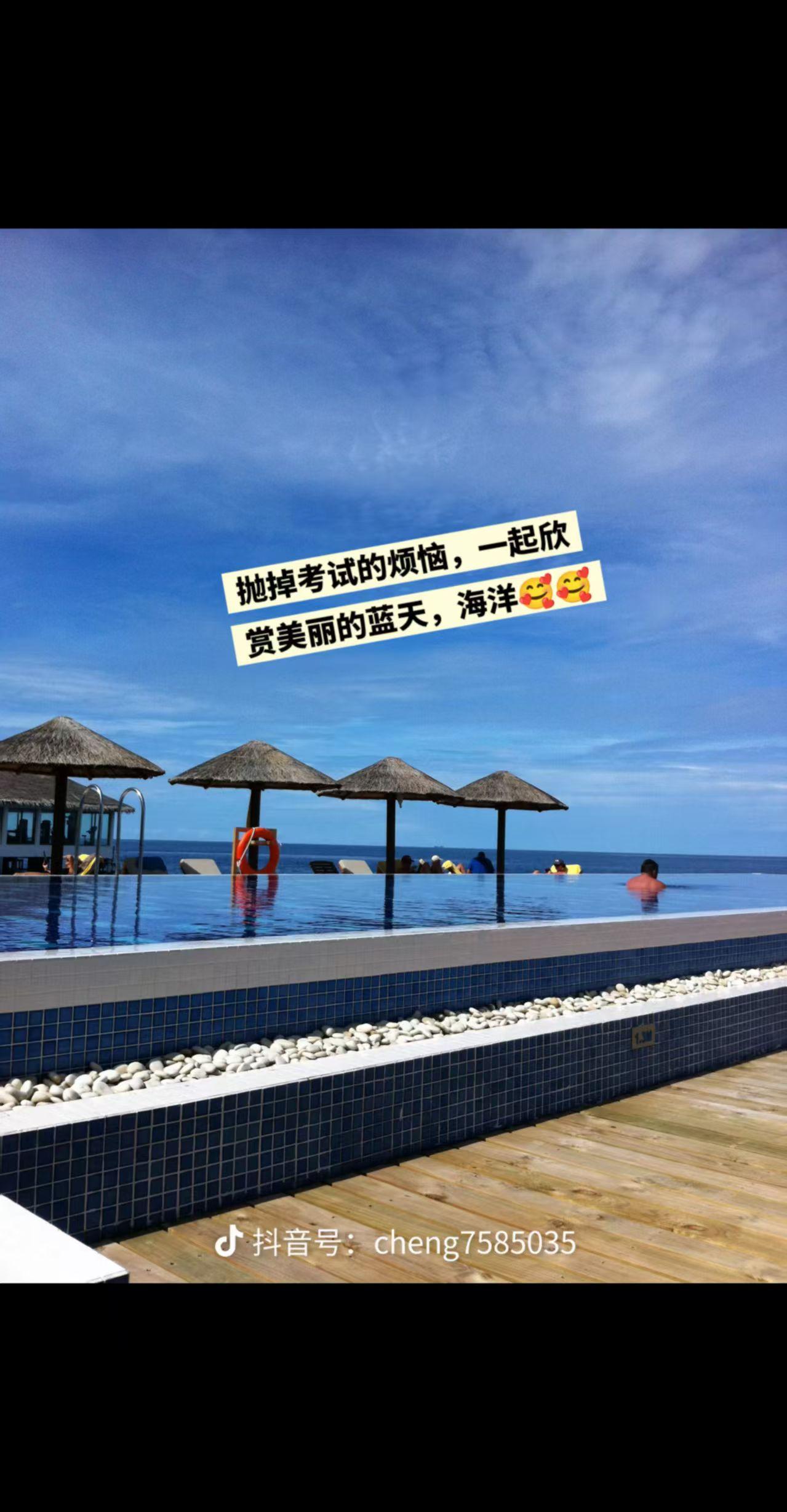投稿展示