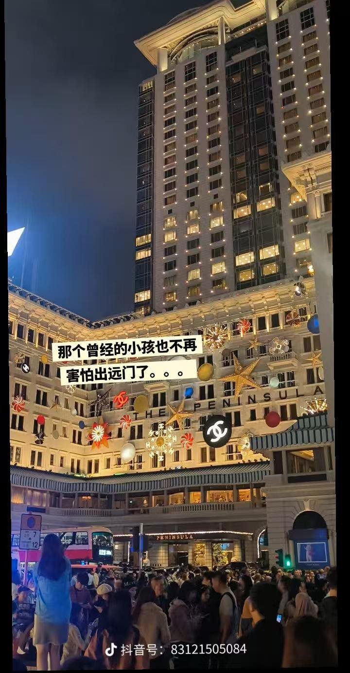 投稿展示