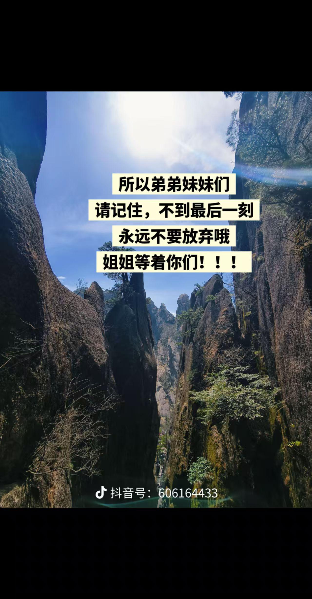 投稿展示